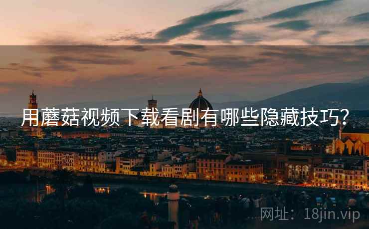 用蘑菇视频下载看剧有哪些隐藏技巧？
